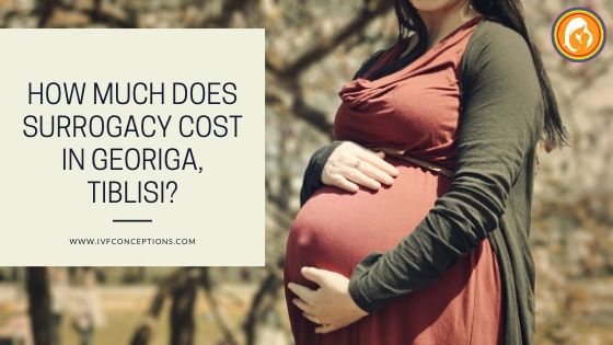 How Much Does Surrogacy Cost in Georiga, Tiblisi?