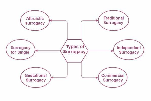 fertility clinic in india