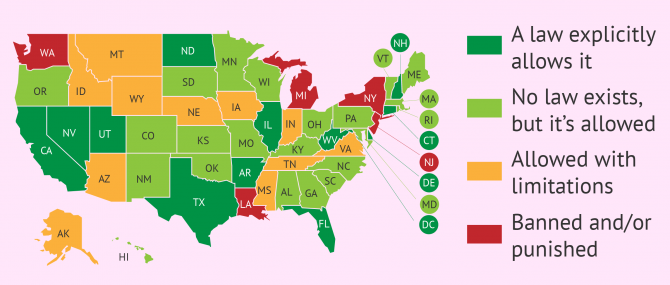 Surrogacy in USA