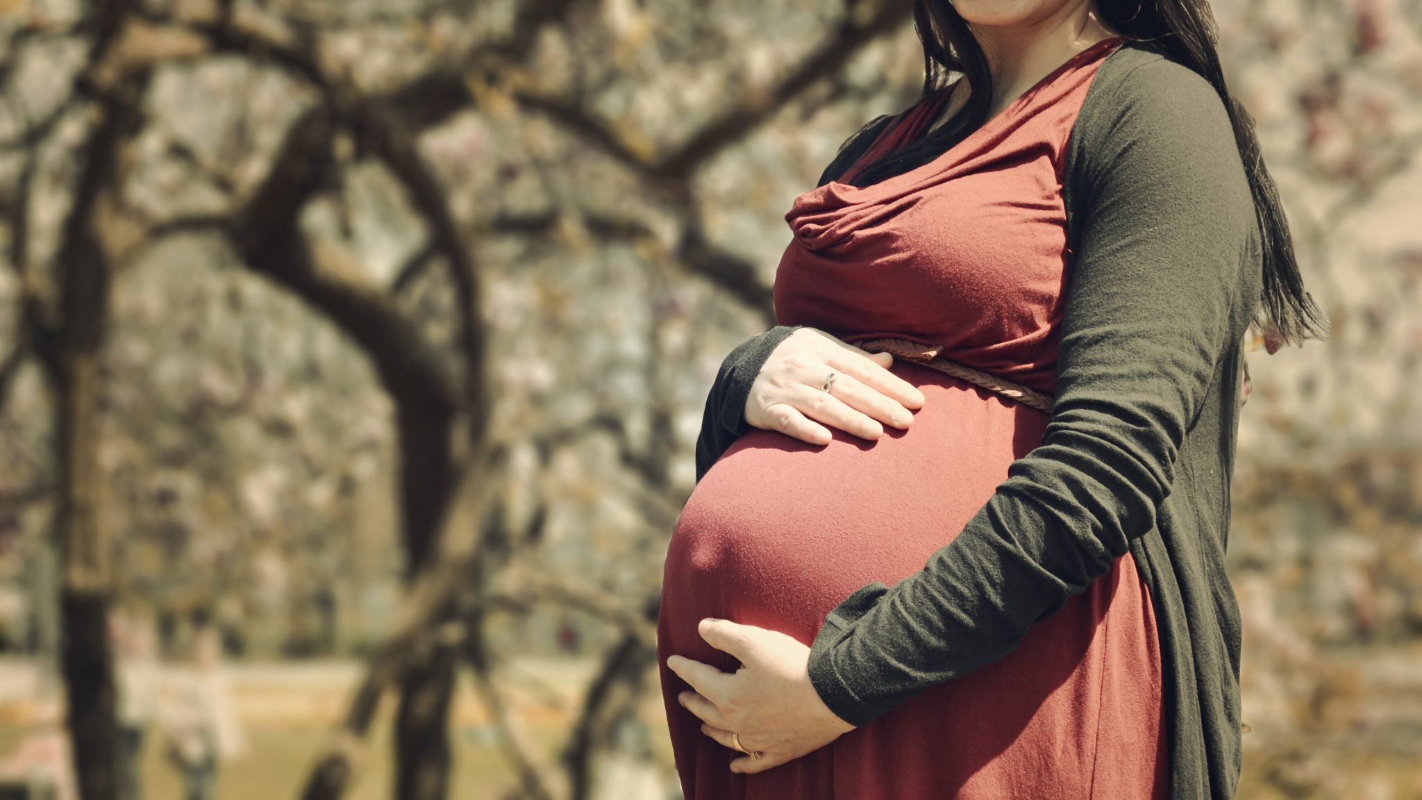 gestational surrogacy for all