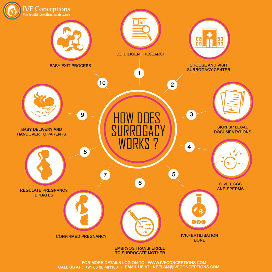 Infographic- What is Surrogate Mother Process | IVF Conceptions