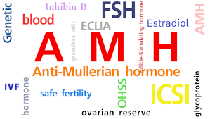 AMH Testing for elderly women