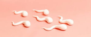 Sperm DNA Fragmentations