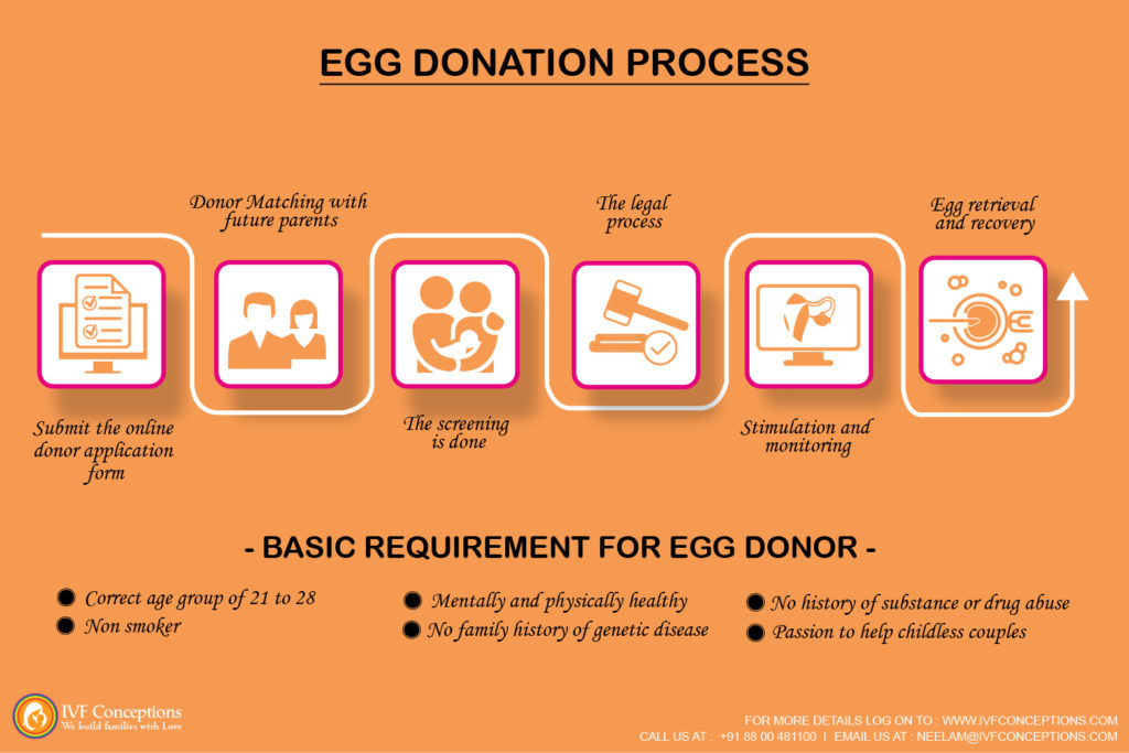 How does egg donation process work?