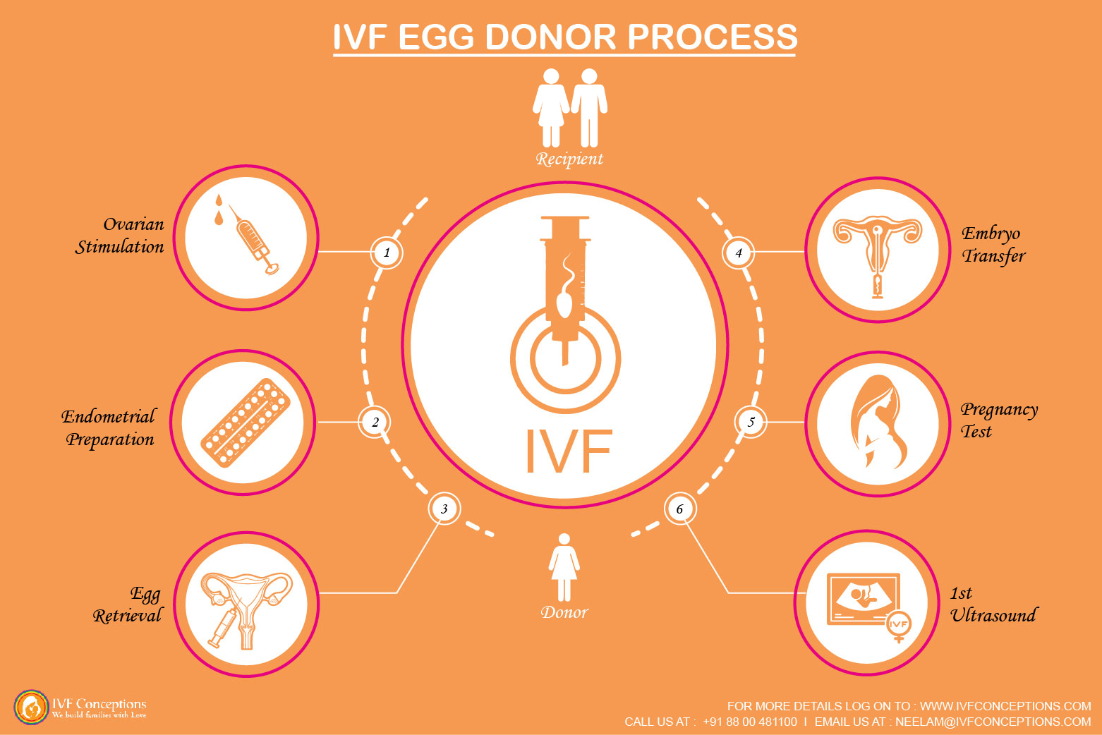 Infographic: How does IVF egg donor process work?