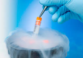egg freezing is recommneded to women in the age group of 25 to 35
