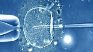 IVF is an assisted reproduction tech