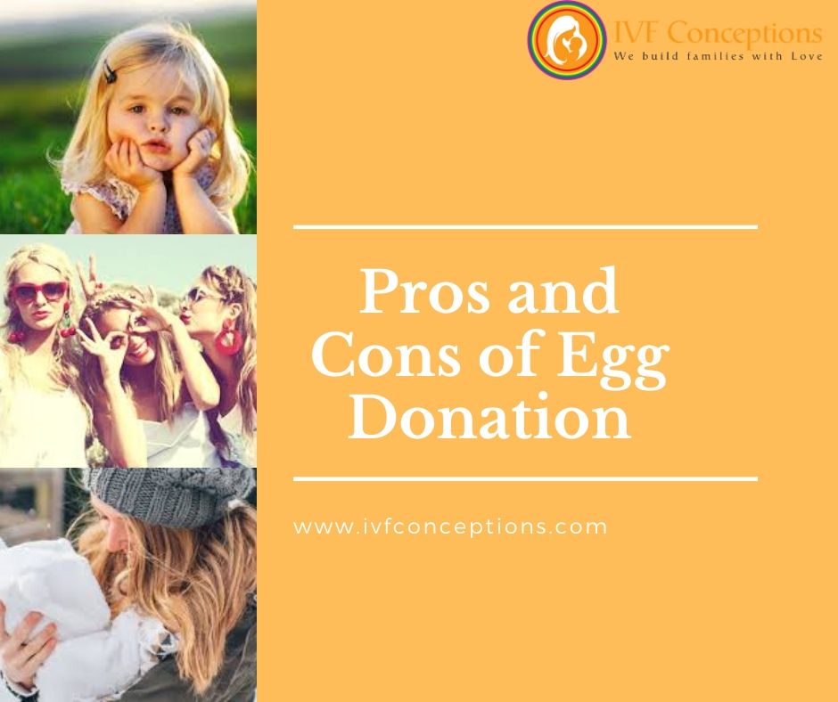 Pros and Cons of Egg Donation