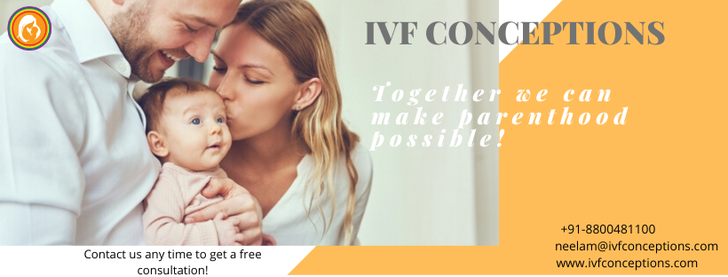 About IVF Conceptions