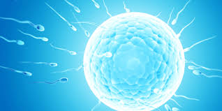 Causes Of Male Infertility