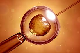 Your Guide to IVF with Egg Donation