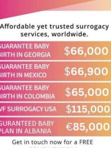 IVF Conceptions Surrogacy Prices & Plans (2023)