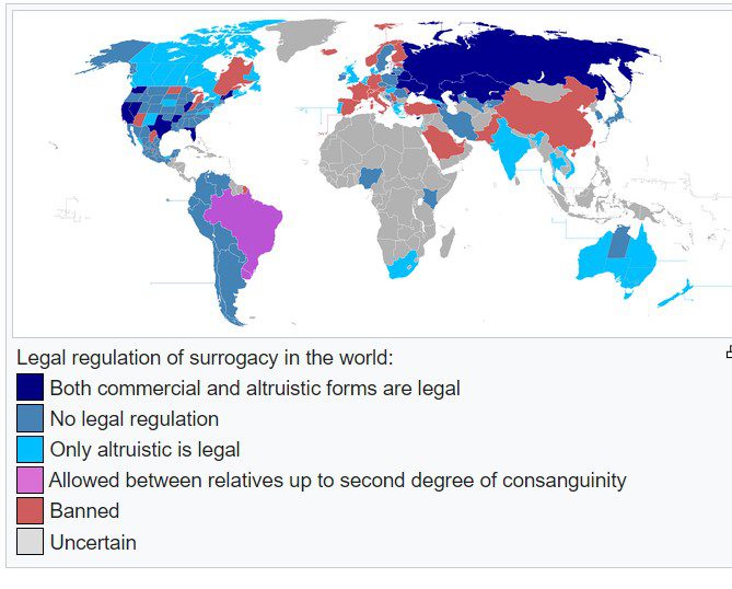 International surrogacy country wise