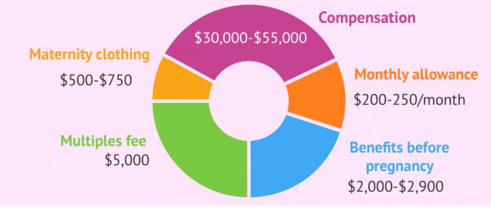 Surrogate mother Cost in the usa