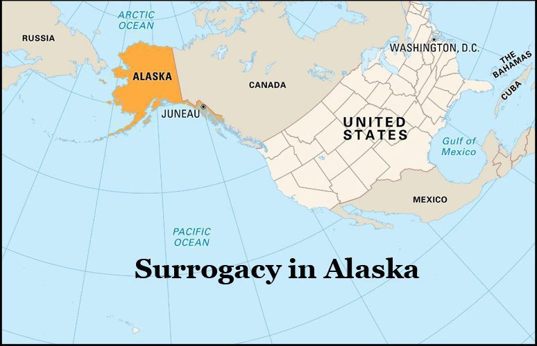 Surrogacy in Alaska