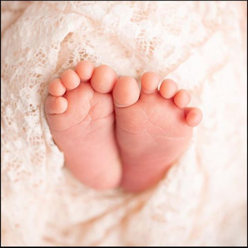 Surrogacy laws in Florida