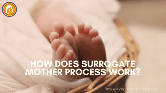 How does the surrogate mother process work?
