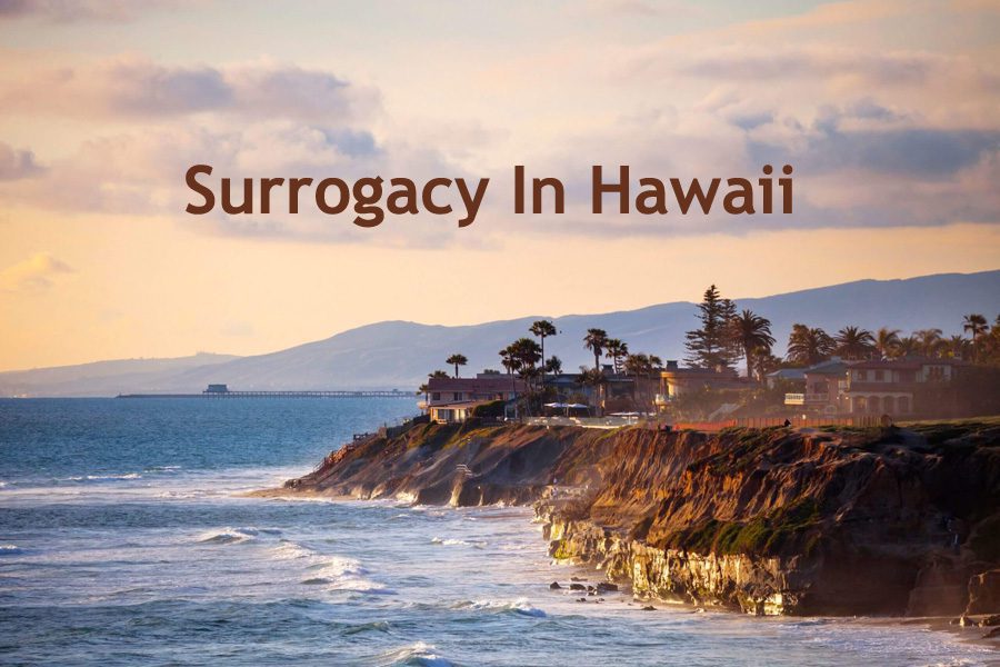 Surrogacy In Hawaii