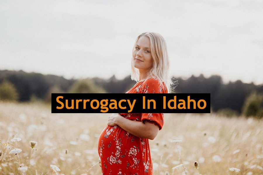 Surrogacy In Idaho