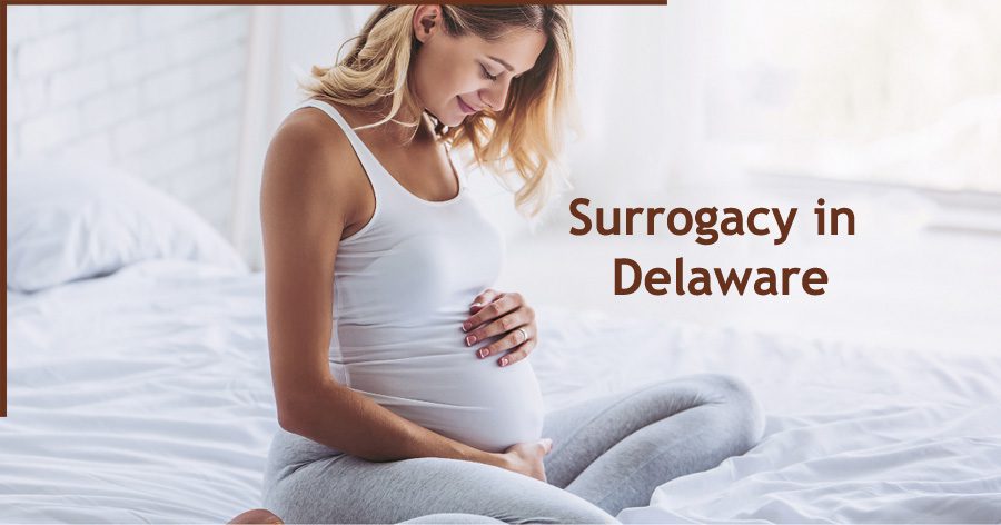 Surrogacy in Delaware