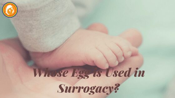 Whose Egg is Used in Surrogacy?