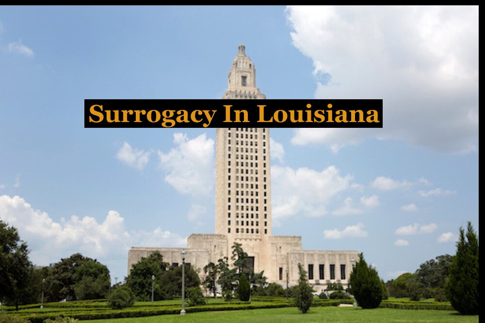 Surrogacy In Louisiana