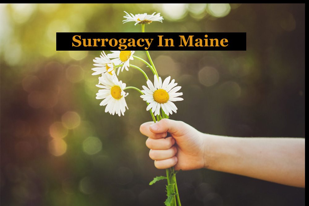 Surrogacy In Maine