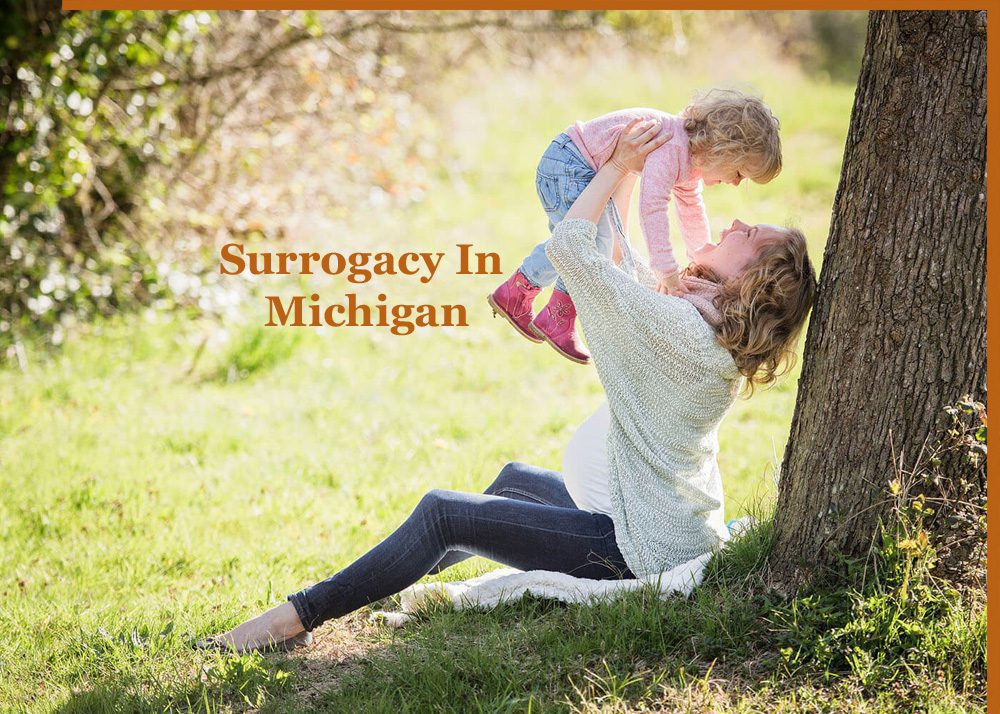 surrogacy in Michigan