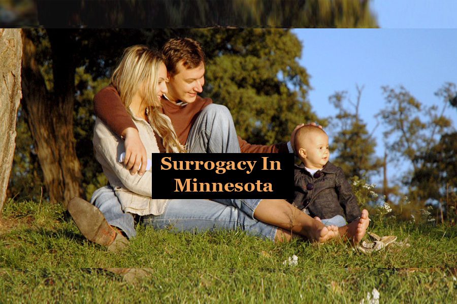Surrogacy In Minnesota