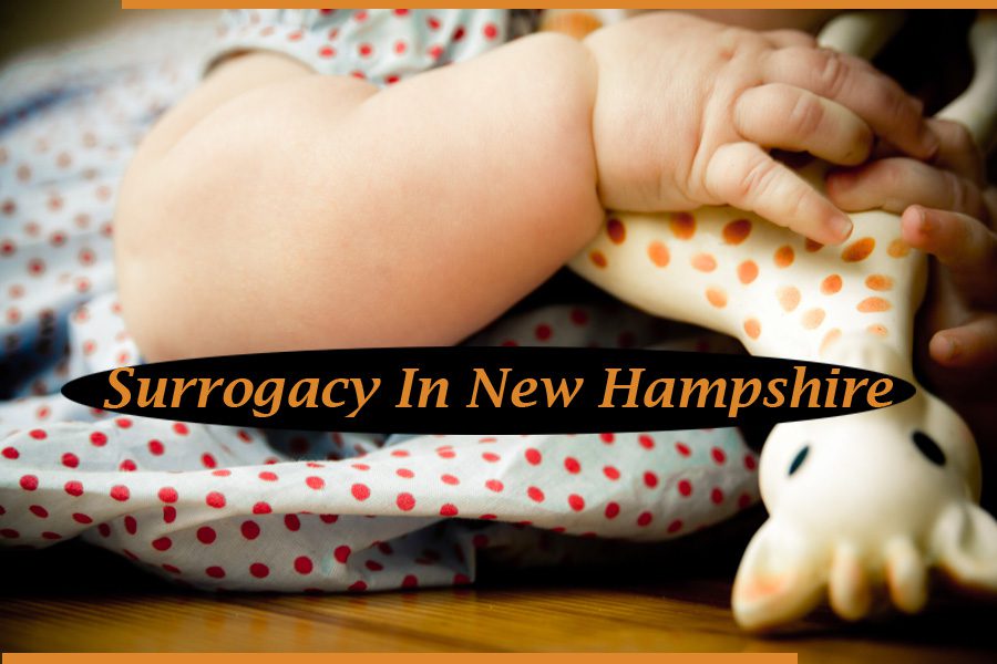 Surrogacy In New Hampshire