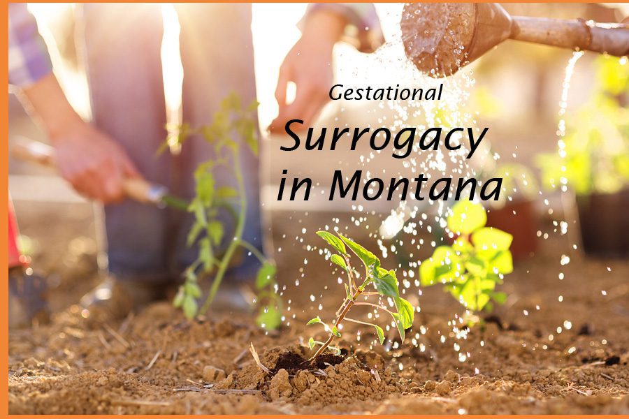 Surrogacy in Montana