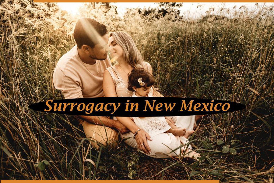 surrogacy in New Mexico