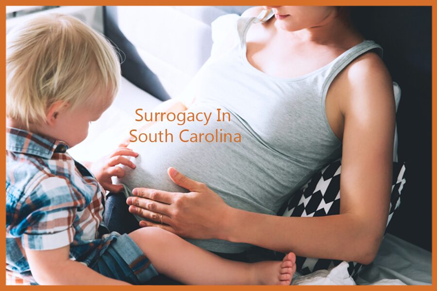 Surrogacy In South Carolina