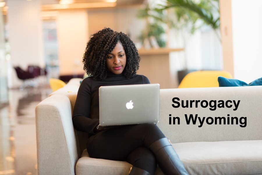 Surrogacy in Wyoming