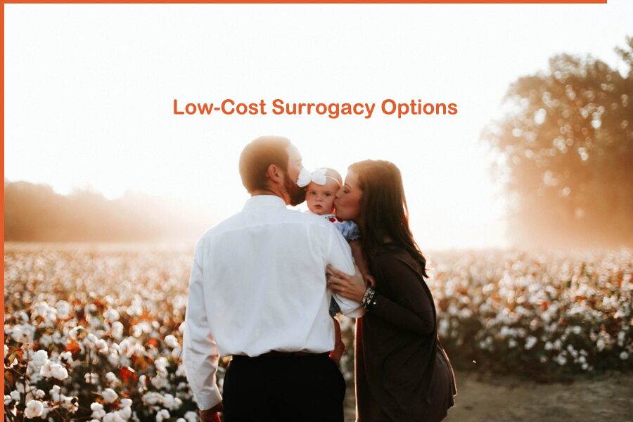 Low-Cost Surrogacy Options