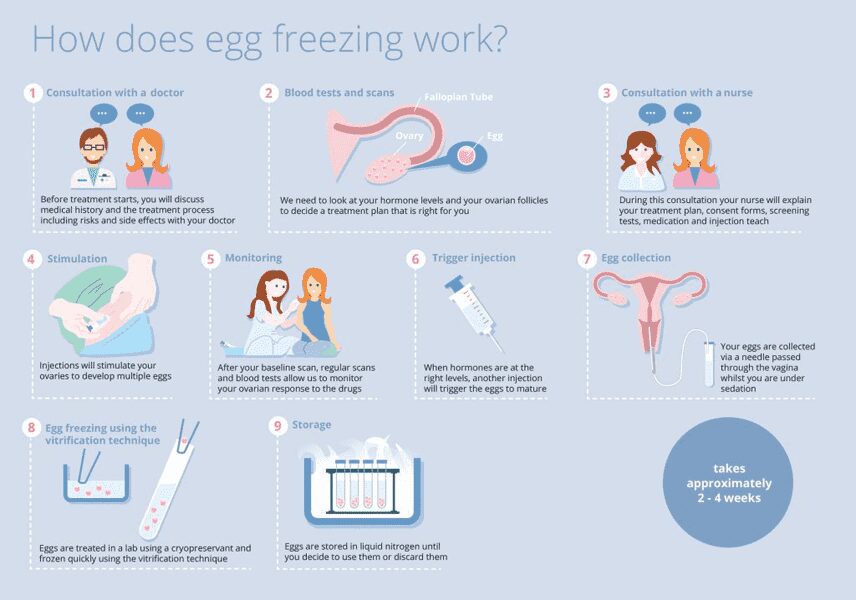 How Egg Freezing Can Help Cancer Patients