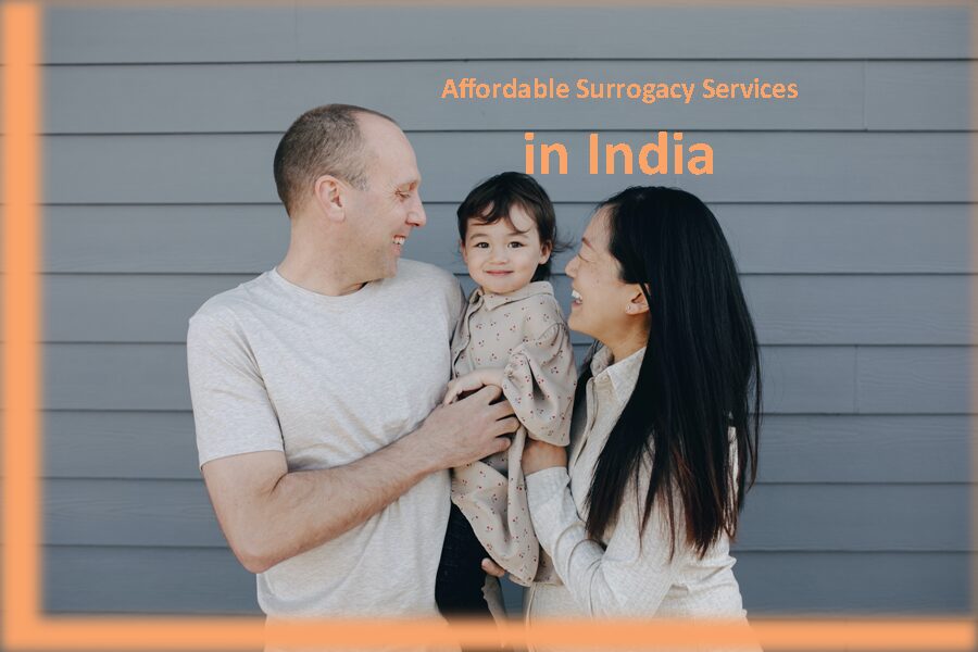 Affordable Surrogacy Services in India