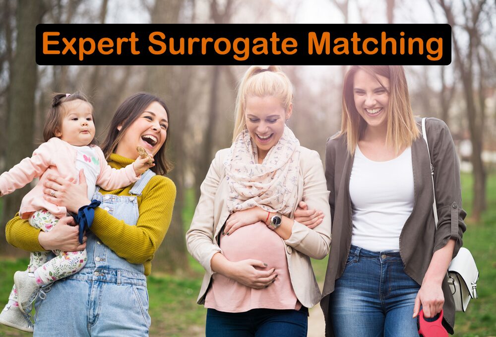 Find surrogate mothers