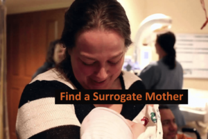 Find Surrogate Mother