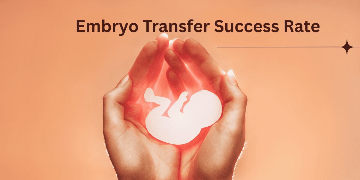 Embryo Transfer Success Rate