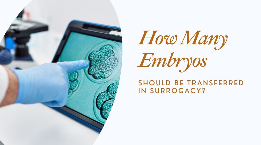 embryo transfer