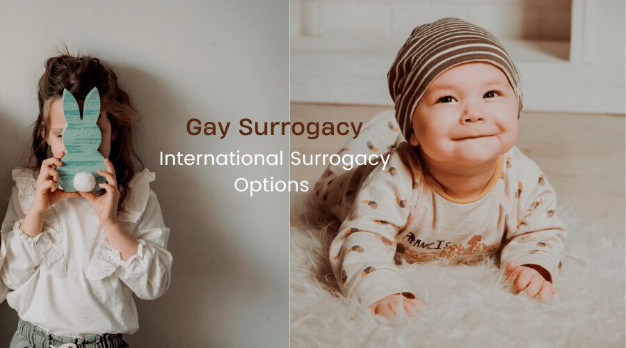 gay surrogacy countries