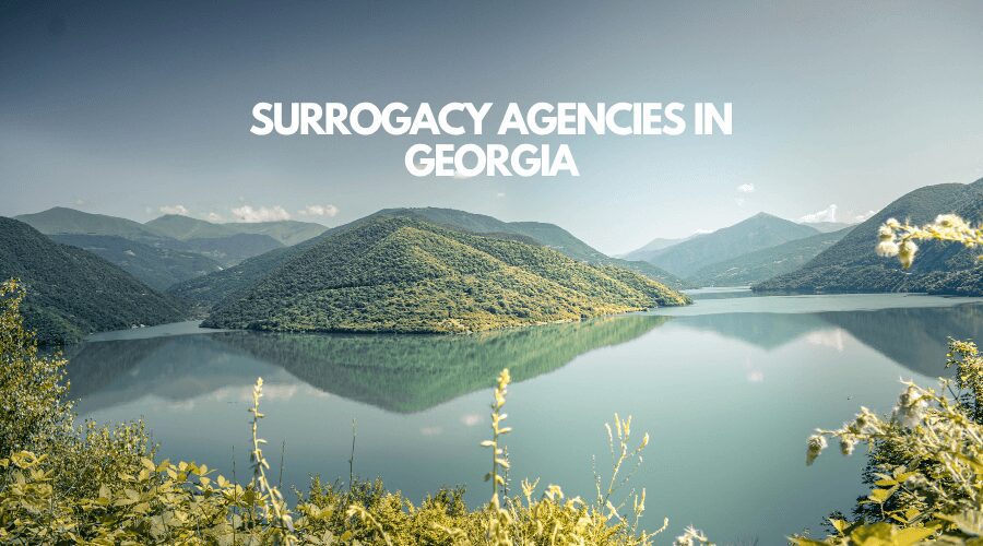 Surrogacy Agencies in Georgia