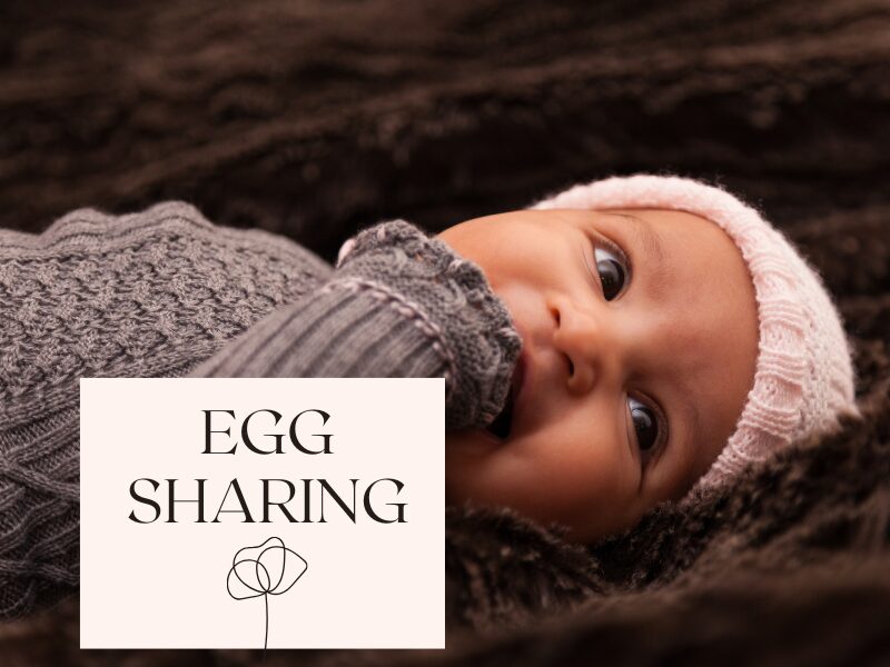 What is Egg Sharing