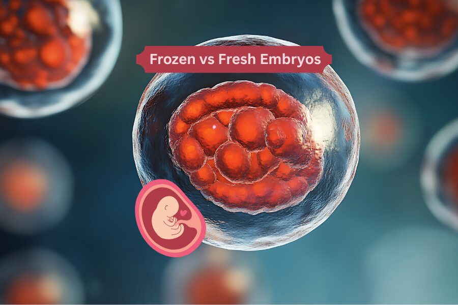 Frozen vs Fresh Embryos