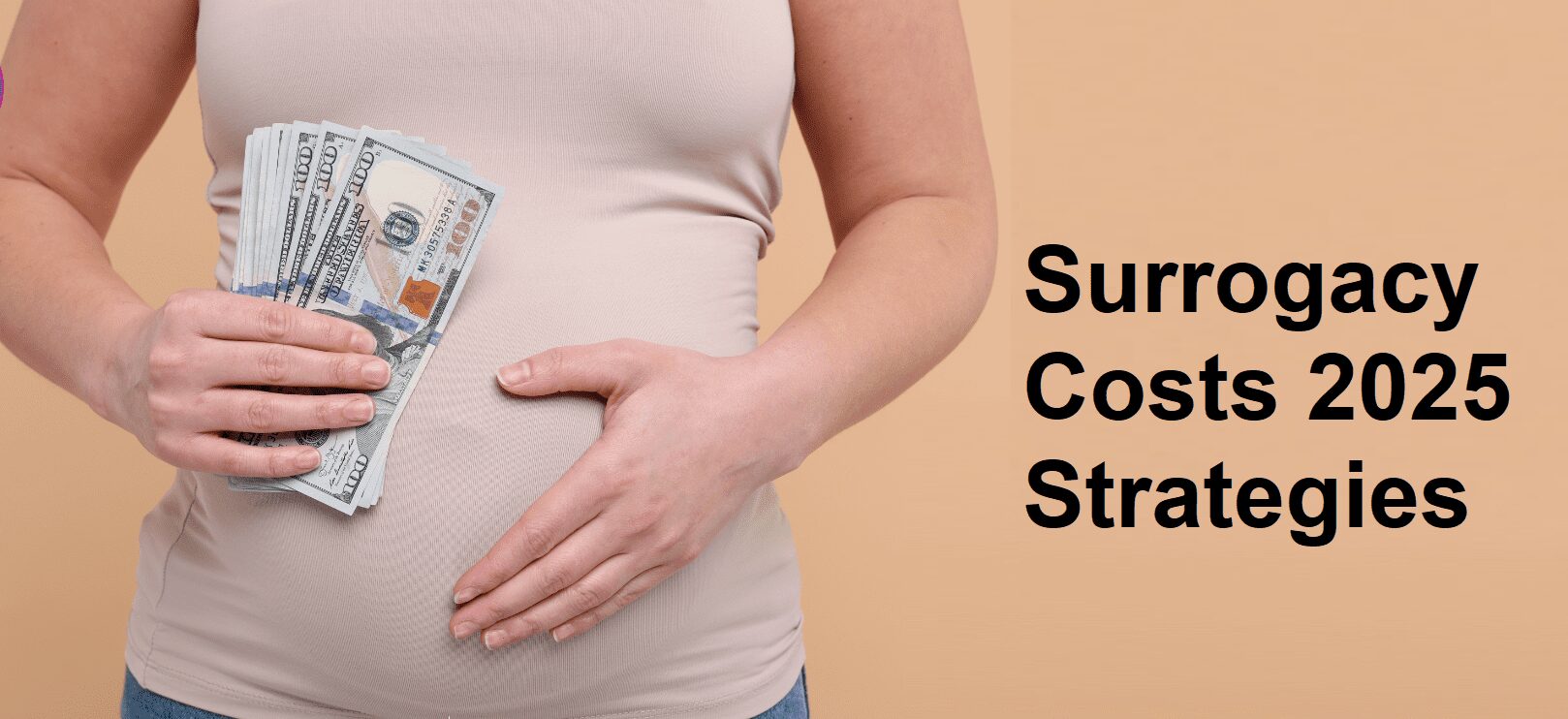 Surrogacy Costs Strategies in 2026