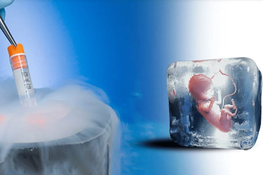 embryo freezing duration