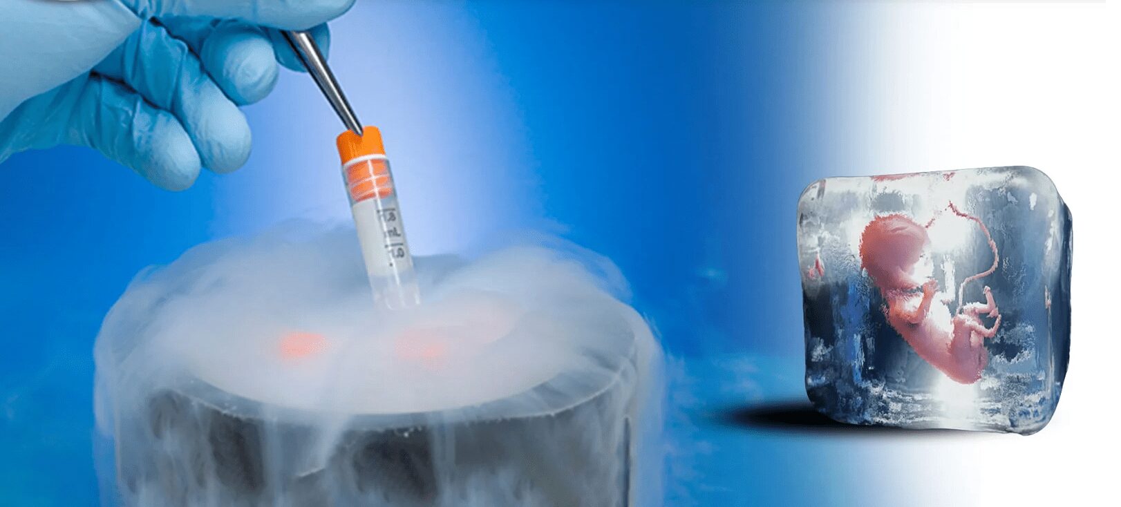embryo freezing duration