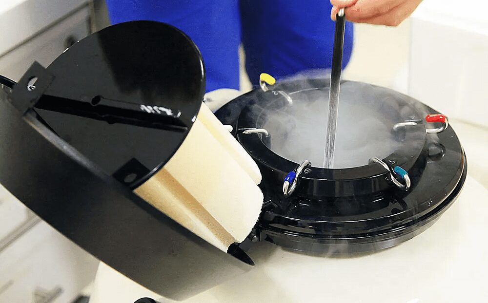 The process of embryo freezing