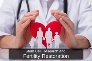 Stem Cell Research and fertility